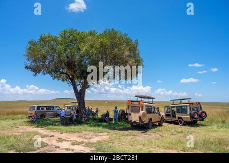 Safari veicoli e persone con un pranzo al sacco sotto un albero, Mara Triangle, Masai Mara National Reserve, Kenya, Africa Foto Stock