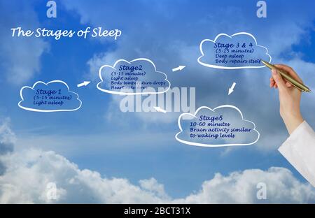Quattro fasi del sonno normale Foto Stock