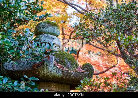 Lanterna di pietra coperta di muschio durante l'autunno Foto Stock