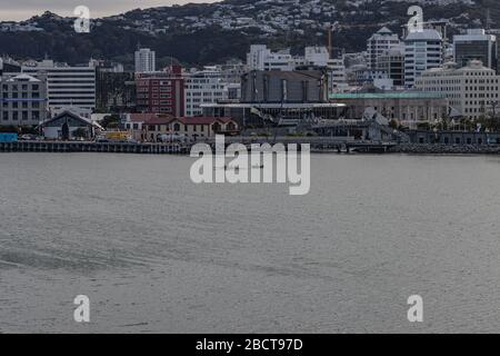 Lungomare di Wellington visto dal traghetto Foto Stock