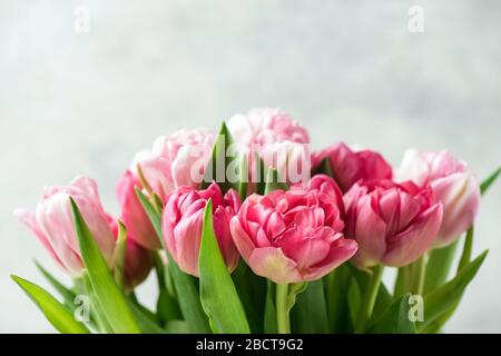 Bouquet di bellissimi tulipani rosa di pony su sfondo grigio. Vista closeup, spazio di copia per testo o disegno Foto Stock