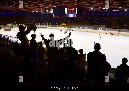 Tifosi di hockey in piedi e applausi sullo stadio in After Goal - sport, carta da parati.. Foto Stock