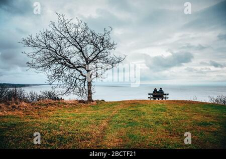 Paesaggio scandinavo del nord, natura autunnale, bagnatura ruvida, colori grigi Foto Stock