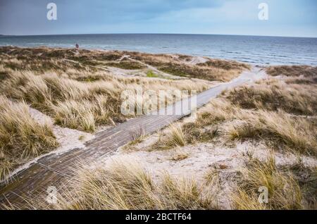 Paesaggio scandinavo del nord, natura autunnale, bagnatura ruvida, colori grigi Foto Stock