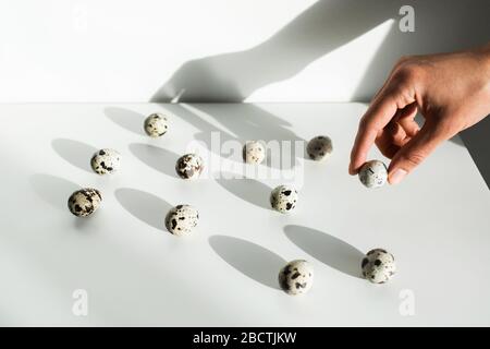 Donna mano prendere un uovo di quaglia da mucchio di altri su sfondo bianco. Scelta giusta. Concetto di pasqua insolito. Foto Stock
