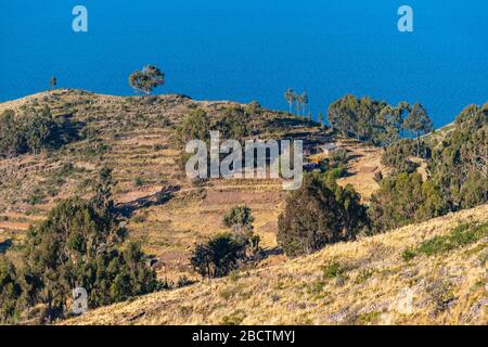 Campagna rurale sulla penisola Copacabana ad un'altitudine di circa 4.000 m, Dipartimento la Paz, Bolivia, America Latina Foto Stock