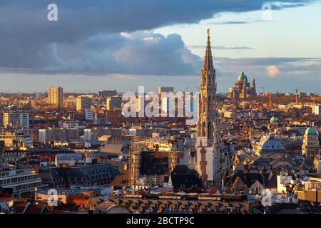 Paesaggio urbano di Bruxelles al tramonto con la Torre del Municipio nel primo piano Foto Stock