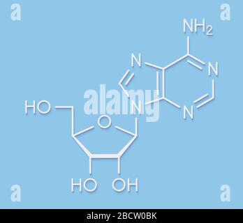 Molecola nucleosidica di adenosina (Ado) purina. Componente importante di ATP, ADP, Camp e RNA. Usato anche come farmaco. Formula scheletrica. Foto Stock