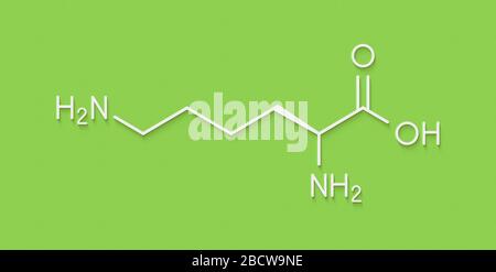 Molecola di amminoacido di lisina (L-lisina, Lys, K). Formula scheletrica. Foto Stock