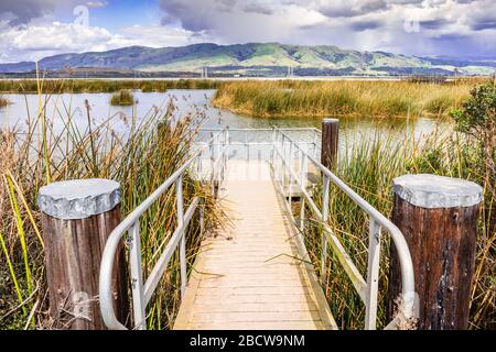 Piattaforma di osservazione Marsh nell'area della Baia di San Francisco Sud; Mountain Ridge nella gamma Diablo visibile sullo sfondo; Don Edwards San Francisco Bay Nation Foto Stock