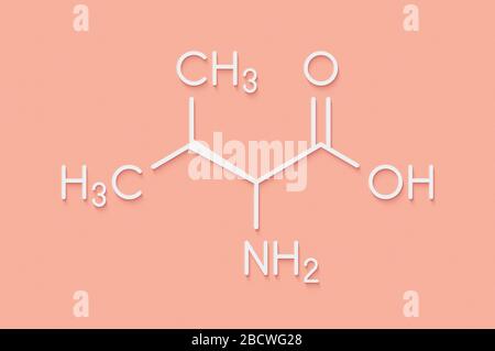 Molecola di amminoacido valina (l-valina, Val, V). Formula scheletrica. Foto Stock