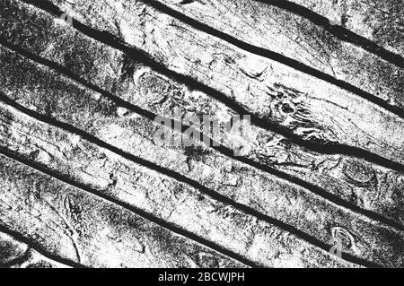 Tessuto di plance di legno di difficoltà. Sfondo nero e bianco grunge. Illustrazione del vettore EPS8 Illustrazione Vettoriale