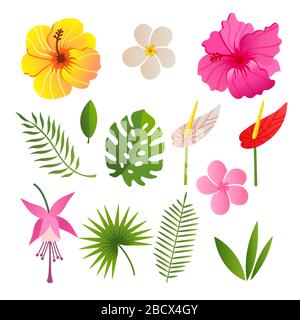 elementi tropicali di fiori e foglie illustrazione vettoriale Illustrazione Vettoriale