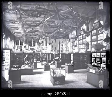 Mostra sulla pesca nel Museo Nazionale degli Stati Uniti. Mostra di pesca nel nord-est del Museo Nazionale degli Stati Uniti, ora conosciuto come l'edificio delle Arti e delle Industrie, con assistente femminile seduto al centro. I pavimenti in legno dell'edificio furono sostituiti tra il 1895 e il 1905.Smithsonian Institution Archives, ACC. MNH-2524A Foto Stock