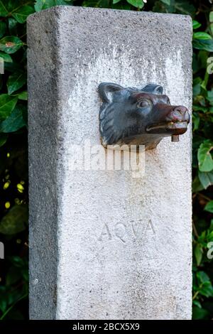 Fontana pubblica con una testa di lupo al Colle Palatino, Foro Romano, Roma, Italia. Foto Stock