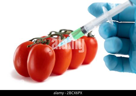 Concetto di alimenti e prodotti chimici OGM in ortaggi. La mano in un guanto fa un'iniezione con una siringa con una soluzione di pomodoro maturo Foto Stock