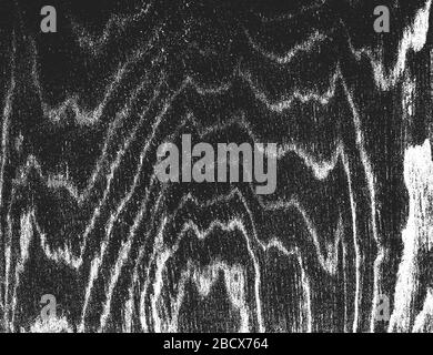 Distress vecchia tessitura asciutta di legno. Sfondo nero e bianco grunge. Illustrazione del vettore. Illustrazione Vettoriale