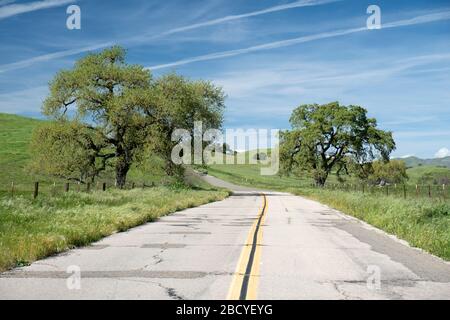 Nel retro della primavera nella Valle di Santa Ynez in California Foto Stock