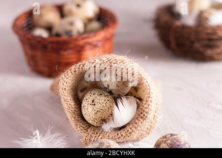 uova di quaglia in sacco eco burlap su sfondo grigio, nido Foto Stock