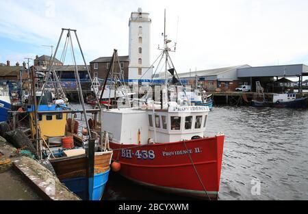 Barche da pesca a North Shields Fish Quay sulla riva del fiume Tyne nel nord-est dell'Inghilterra. Con i mercati delle esportazioni verso l'Europa e la Cina rovinati, i ristoranti e i chippy chiusi, l'ospitalità chiusa e molti supermercati non addetti ai banchi di pesce, i skipper hanno deciso di tenere le loro navi legate. Foto Stock