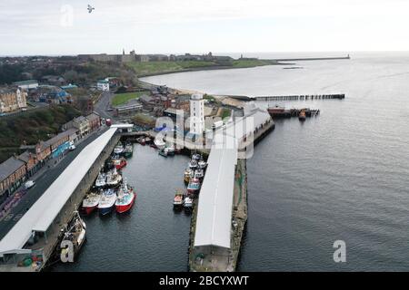 Barche da pesca a North Shields Fish Quay sulla riva del fiume Tyne nel nord-est dell'Inghilterra. Con i mercati delle esportazioni verso l'Europa e la Cina rovinati, i ristoranti e i chippy chiusi, l'ospitalità chiusa e molti supermercati non addetti ai banchi di pesce, i skipper hanno deciso di tenere le loro navi legate. Foto Stock