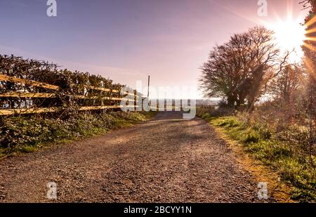 Old Country Road Foto Stock