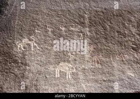 Pitture rupestri preistoriche raffiguranti esseri umani e cammelli, deserto di Wadi Rum, Giordania. Patrimonio mondiale dell'UNESCO Foto Stock