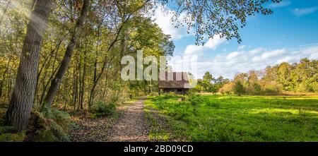 Vecchia stalla accanto ad un prato e un sentiero forestale sul bordo di una foresta in Belgio. Foto Stock