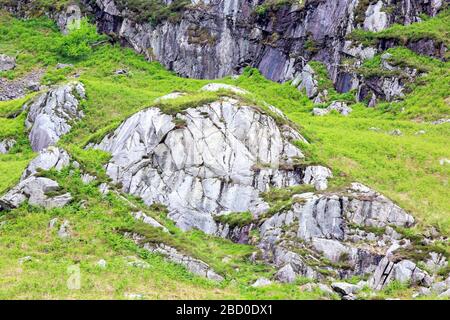 Grass ha sormontato Rocky affioramento in Galloway Scozia Foto Stock