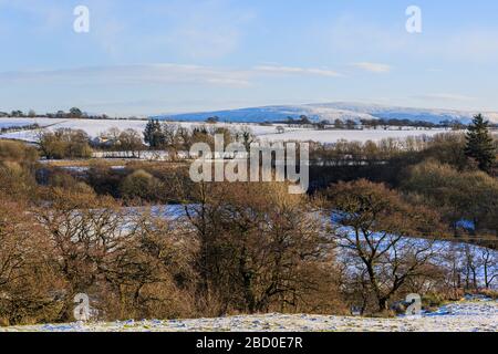 Vista sulle cime degli alberi e sulle colline scozzesi coperte di neve Foto Stock