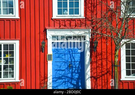 Parete rossa di casa scandinava con finestra bianca e albero vicino a casa Foto Stock