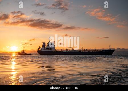 Ternuezen Paesi Bassi 2 aprile 2020, petroliera chimica nel porto di Terneuzen al tramonto sul fiume Schelde Foto Stock