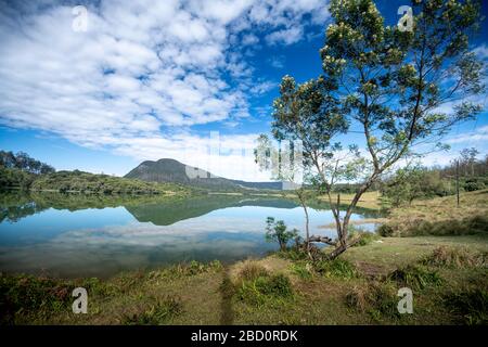 Bellissimo paesaggio ad Ambewela, Nuwara Eliya Foto Stock