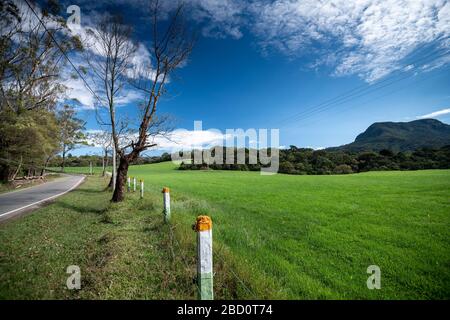 Bellissimo paesaggio ad Ambewela, Nuwara Eliya Foto Stock