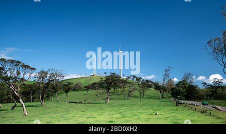 Bellissimo paesaggio ad Ambewela, Nuwara Eliya Foto Stock