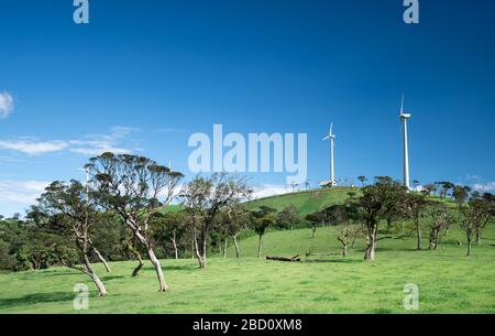 Bellissimo paesaggio ad Ambewela, Nuwara Eliya Foto Stock