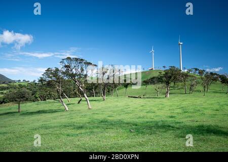 Bellissimo paesaggio ad Ambewela, Nuwara Eliya Foto Stock