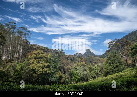 Sri Pada, il picco di Adam nello Sri Lanka Foto Stock