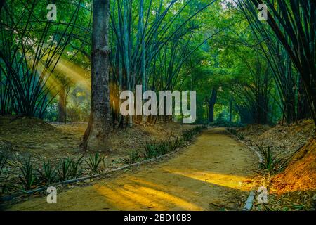 Lodi Gardens o Lodhi Gardens è un parco cittadino situato a Nuova Delhi, India. Sparso su 90 acri, Foto Stock