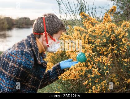 Ritratto di Donna con maschera facciale bianca e rossa, cappotto blu, guanti blu e rivolto verso il coronavirus in cespugli all'aperto Foto Stock