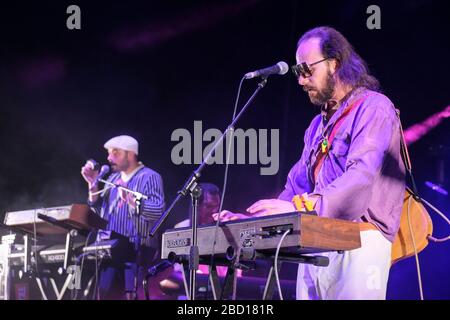 L'ARP Frique & Family si esibisce al WOMAD Festival di Charlton Park, Regno Unito. Luglio 26, 2019 Foto Stock