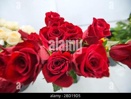 Fiori rossi e bianchi grappoli di rose Foto Stock