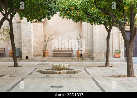 Limoni e un posto in legno in un cortile e il giardino della cattedrale di Siviglia in Spagna Foto Stock