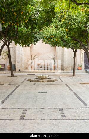 Limoni e un posto in legno in un cortile e il giardino della cattedrale di Siviglia in Spagna Foto Stock