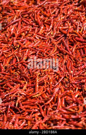 Peperoncino rosso piccante e secco al sole, sfondo Foto Stock