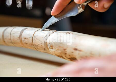 Processo di uomo che fa bastone di legno che cammina all'interno durante la quarantena. Bastone di legno intagliato sulla tavola usando il coltello Foto Stock