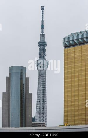 TOKYO, GIAPPONE - 25 settembre 2018: Una parte del Giappone Tokyo skytree Tower edificio Foto Stock