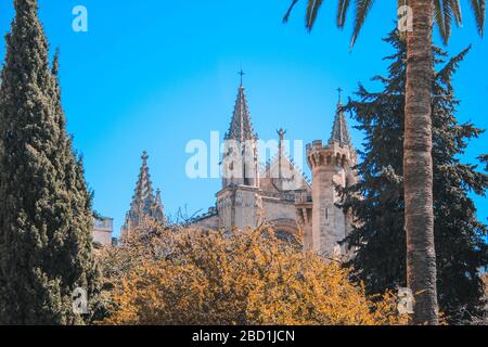 Cattedrale di Santa Maria di Palma conosciuta anche come la Seu, situata nella capitale Palma de Mallorca, Spagna Foto Stock