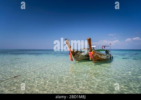 Incredibile acqua blu a Bamboo Beach, Maya Bay con barche a coda lunga, Phi Phi Lay Island, provincia di Krabi, Thailandia, Sud-est asiatico, Asia Foto Stock