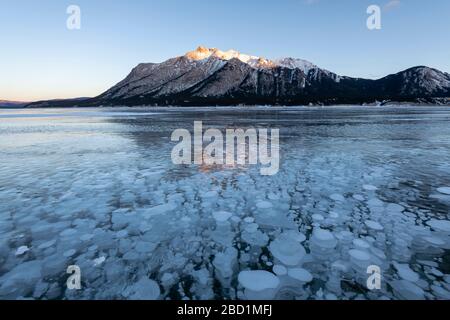 Bolle di gas metano al lago Abraham, Kootenay Plains, Alberta, Canadian Rockies, Canada, Nord America Foto Stock